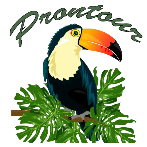 Prontocar